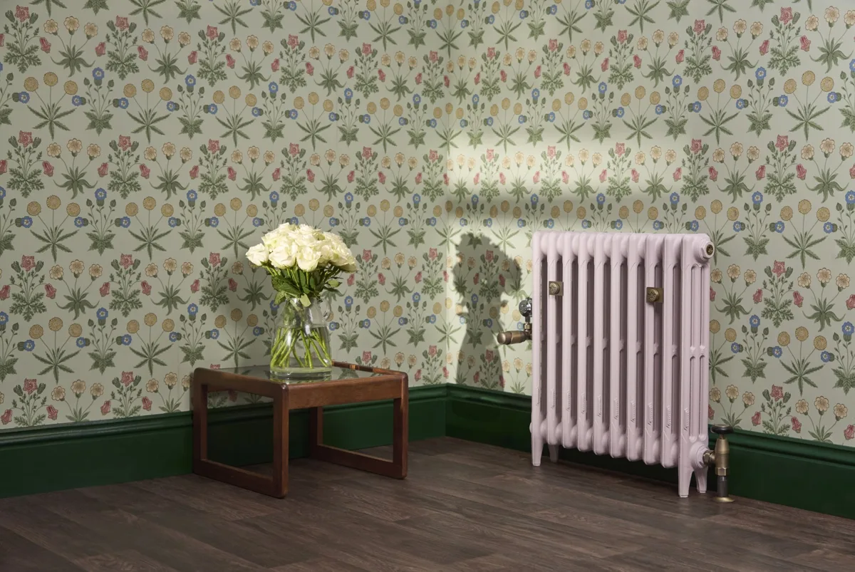 Mercury cast iron radiator