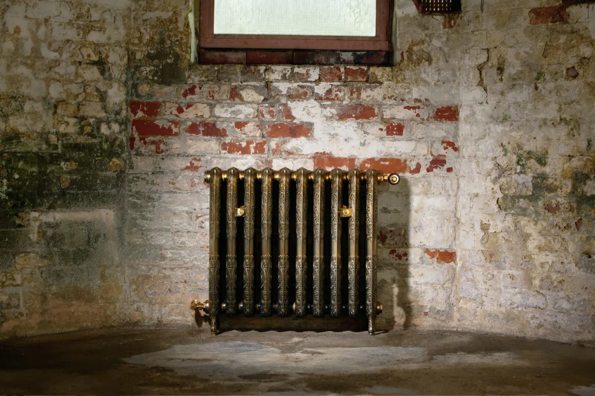 Rococo cast iron radiator