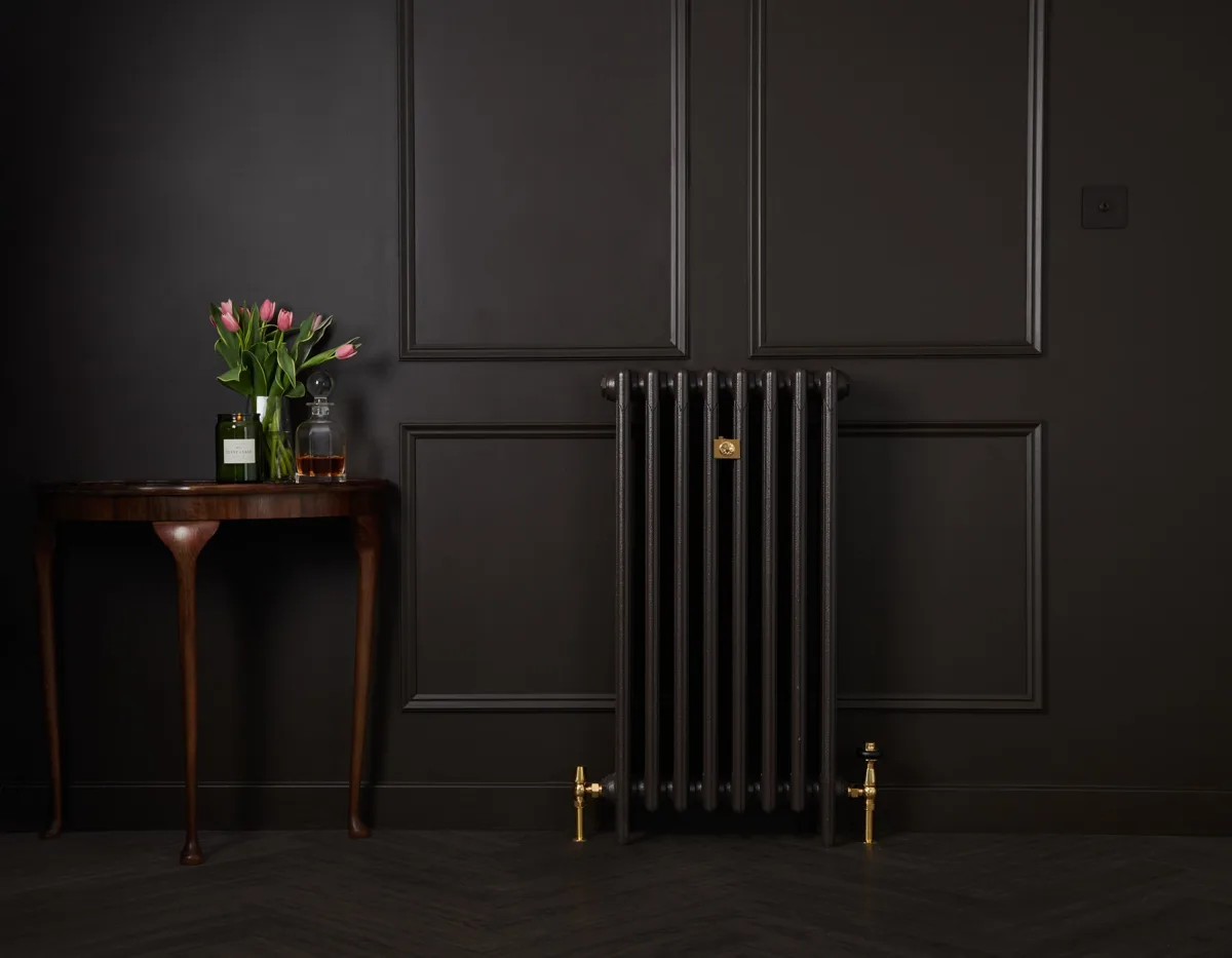 Mercury cast iron radiator